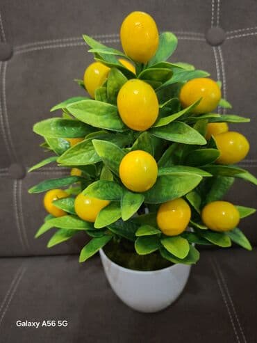 кресла офисные бу: Продаю красивые декоративные (искусственные) цветы. Красота всегда — 16