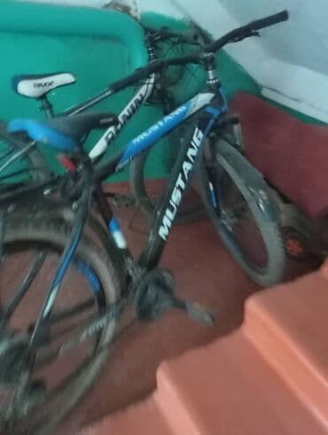 все о горных велосипедах: Коллекция домашних товаров: 1) Ковер прямоугольный с классическим — 3