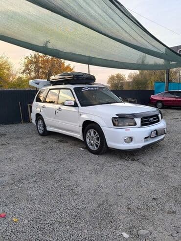 форанер 2020: Subaru Forester: 2003 г., Кроссовер — 7