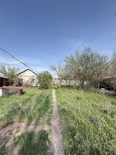 чортекова: 8 соток, Красная книга — 2