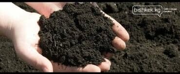 В тоннах, Бесплатная доставка, Зил