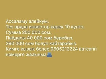 construction: Ищется инвестор на краткий срок — 10 дней. - Необходимая сумма: 250 — 1