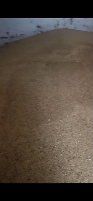 Арпа сатылат 24сом. самовывоз