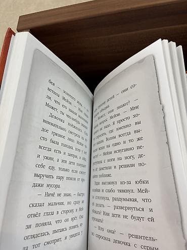 графити фолз: Серия «Мэйзи Хитчинс. Приключения девочки-детектива» — Холли Вебб. 8 — 4