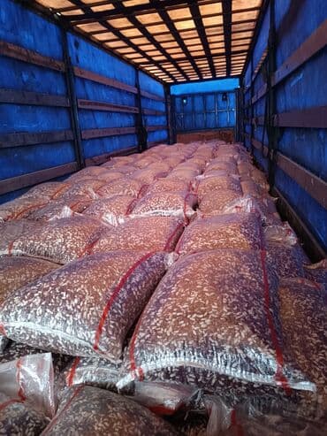 зерно кофе: Фасоль сатылат басы 200сом — 3