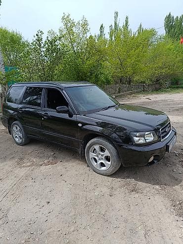 Subaru: Subaru Forester: 2003 г., 2 л, Автомат, Бензин, Универсал — 4