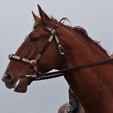 искусственные волосы на заколках бишкек: Новогодние подарки оригинальные подарки полезные подарки лучшие — 9