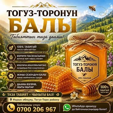 Бал: Тогуз-Торонун балы — натуральный горный мёд из района Тогуз-Торо — 1