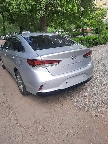 морни: Hyundai Sonata: 2019 г., 2 л, Автомат, Газ, Седан — 3