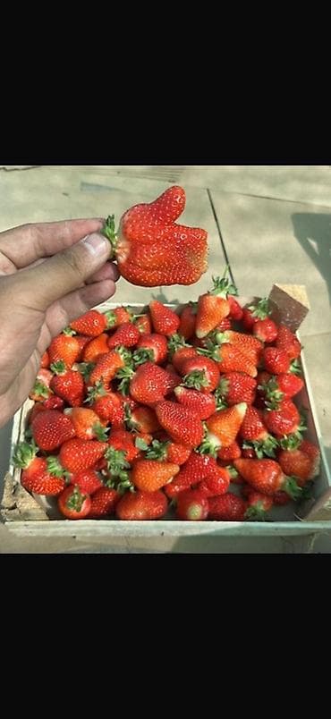 Клубника В розницу