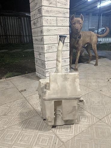 Автокосметика: Бачок Toyota Б/у — 3