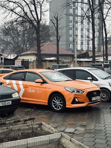 хундай соната не такси: Hyundai Sonata: 2019 г., 2 л, Автомат, Газ, Седан — 9