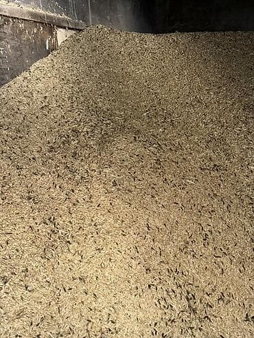 мёд цена: Срочно продаю ячьмень хорошего качества Чуйская обл. Сокулукский район — 2