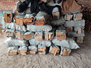 купить туи в бишкеке: Дрова Сосна, Бесплатная доставка — 3