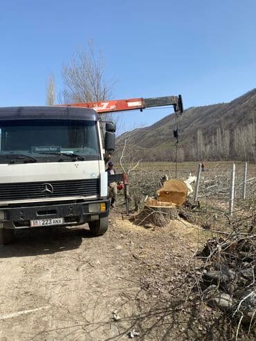 набор ключ 121: Автокран, Mercedes-Benz, 1995 г., до 9 м — 9