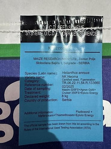 инсектициды: Семена подсолнечника Syngenta NK Neoma (гибрид) - Культура — 5
