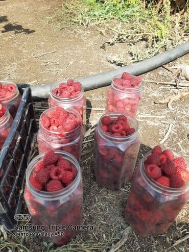 набор кулючи: Полана кочоту сатылат баасы 20сом — 5