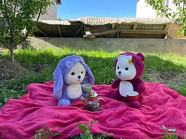 Мягкие игрушки-медвежата с пледом в костюмах с ушками - Набор из двух