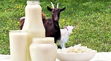 Продаю козье молоко домашнее в день по 10 литров - Натуральное
