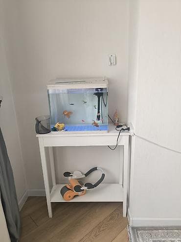mega hous: 3 комнаты, 120 м², Дизайнерский ремонт — 6