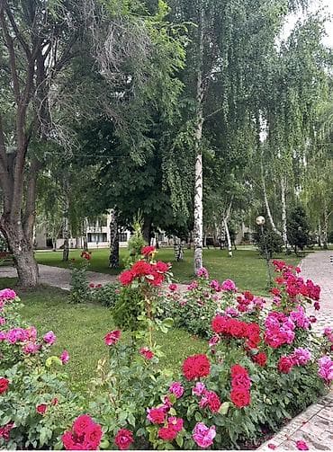 Кыймылсыз мүлк: Сдаются номера в пансионате Азия пэлэс. 3-4-5-6 местные номера До — 5