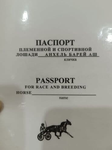 собаки рынок в бишкеке цены: Продаю | Жеребец | Рабочий — 6