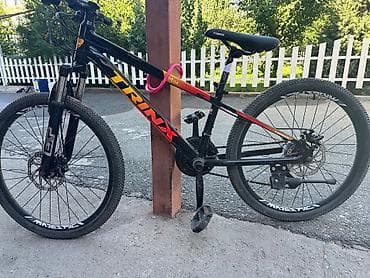 Велосипеддер: Өспүрүм балдар үчүн велосипед, Колдонулган — 1