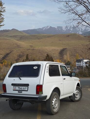 ВАЗ (ЛАДА) 4x4 Нива: 2012 г., 1.7 л, Механика, Бензин, Внедорожник