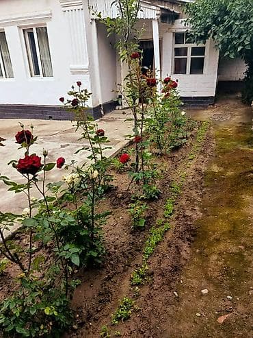 романовская: Продаётся частный дом с большим двором и садом роз Основные — 1