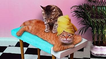 Массаж: Массаж | Дарылоочу | Остеохондроз, Омуртка аралык грыжа, Протрузия | Үйүнө баруу менен, Консультация — 1