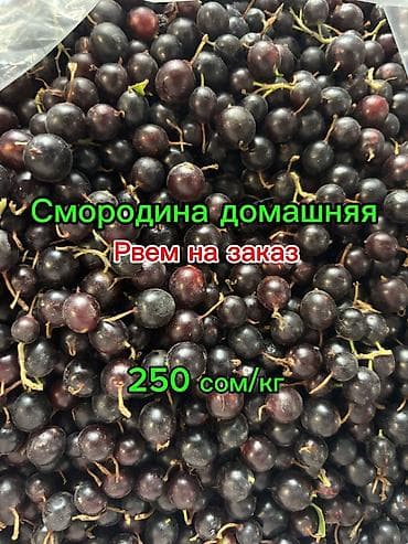 Вишня: Смородина В розницу, Самовывоз, Платная доставка — 1