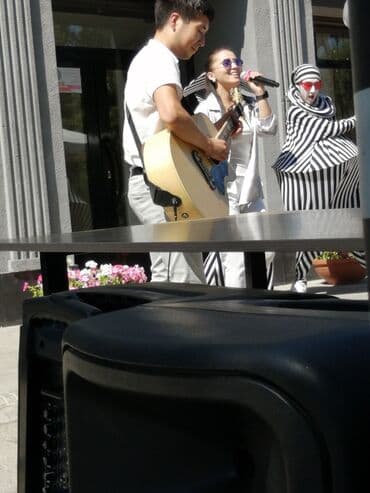 аренда звукового оборудования: Караоке, Цветомузыка, Дым, Микрофон,проектор, Музыкант — 2