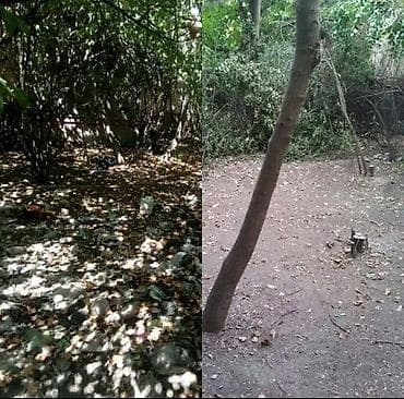 для травы: Уборка территории, Уборка двора и сада — 9