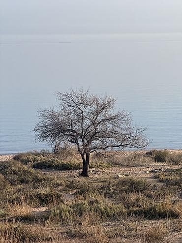 сниму квартиру г кара балта: Срочно квартира керек, район Джал до (10.000) сом с подсилением тоже — 1