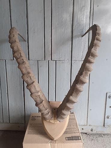 люстра бишкек цена: Продаю декор для дома. Цена договорная — 4