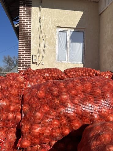 шкафчик для книг: Лук — 3