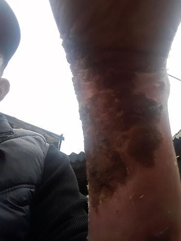 Mazda (салон и интерьер) — комплект фото для оценки - Марка и логотип