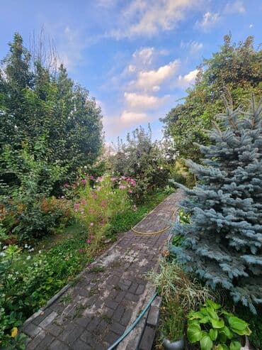 раздольный дом: Дом, 173 м², 5 комнат, Косметический ремонт — 34