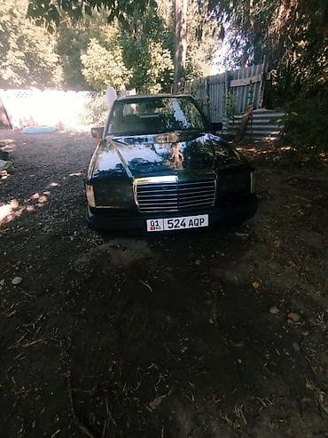 Mercedes-Benz W124: 1986 г., 2.6 л, Автомат, Бензин, Седан — 1