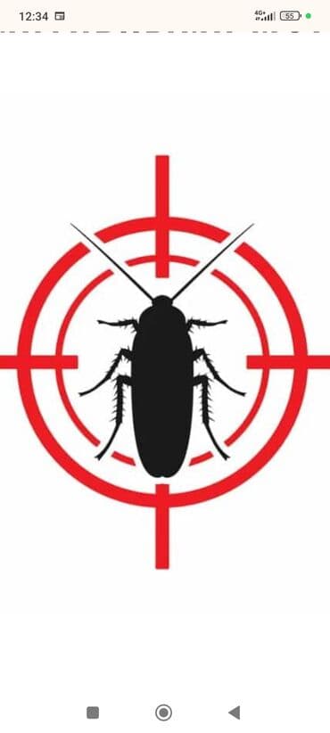 травит тараканов: Дезинфекция, дезинсекция, | Тараканы, | Квартиры — 1