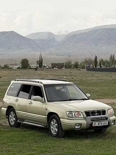 рассмотрим варианты: Subaru Forester: 2000 г., 2.5 л, Автомат, Бензин, Универсал — 1