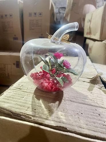 шарик на хуй: Стеклянный флорариум-яблоко с декоративной композицией. - Прозрачная — 3