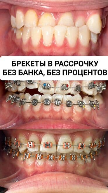 Врачи | Стоматолог