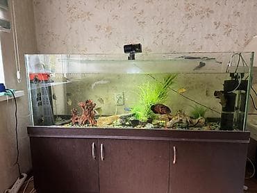 Большой комплект аквариума с тумбой и оборудованием - Прозрачный