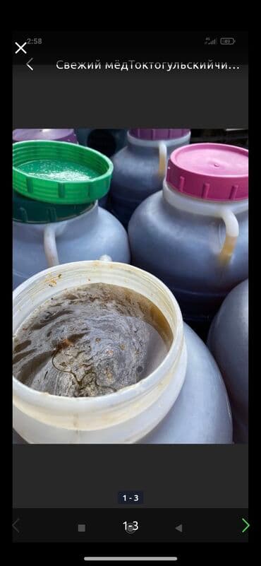 баночки для меда бишкек: Токтогульский горный чистый мёд! Оптом и в Розницу. Цена свыше 33кг — 5