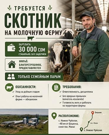 Требуется Доярка, Оплата: Ежемесячно