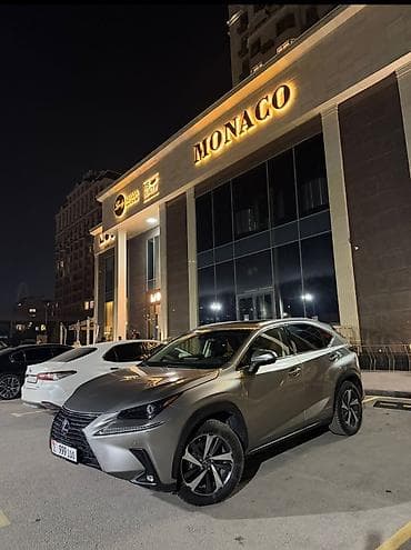 crown 2018: Lexus NX: 2018 г., 2.5 л, Автомат, Гибрид, Кроссовер — 3