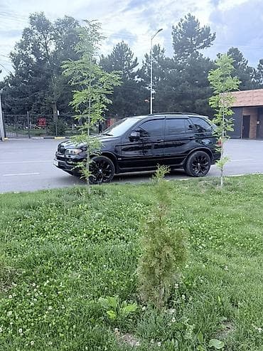 bew e39: BMW X5: 2005 г., 4.4 л, Автомат, Бензин, Кроссовер — 4