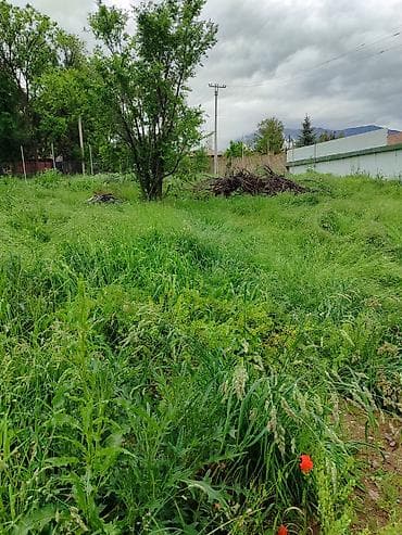 варанцовка: 10 соток, Для строительства, Красная книга — 1