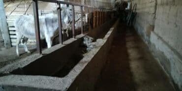 гэс 5 дом: Кашар сатылат. Свети бар. 60 соток. Жеке 10 киловаттык трансформатор — 4